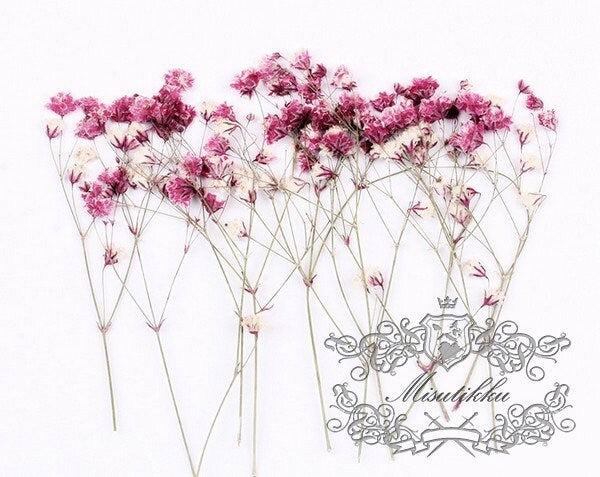 20 PCS Set (4-6CM) Pressed Baby's Breath Pink Flowers, Pressed Flat Pink Flower Stems, Real Gypsophila Flowers, Preserved Dried Flower