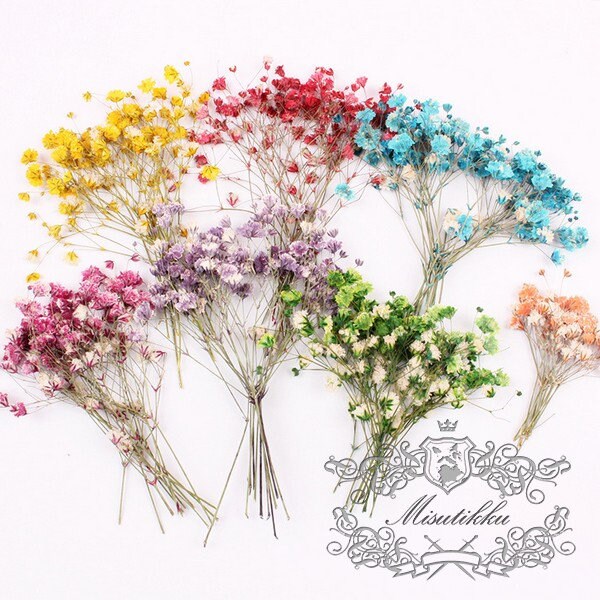 20 PCS Set (4-6CM) Mixed Baby's Breath Dried Pressed Flower, Flat Pressed Dry Flowers, Dried Gypsophila Flowers, Preserved Real Flower Stems