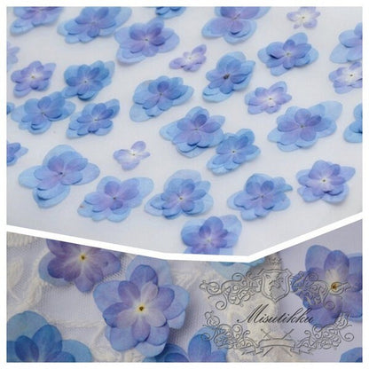 20 PCS Set (2.5-4CM) Dried Pressed Flowers Blue Hydrangea, Natural Pressed Dried Hydrangea Flowers, Preserved Real Pressed Blue Flowers