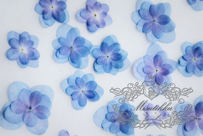 20 PCS Set (2.5-4CM) Dried Pressed Flowers Blue Hydrangea, Natural Pressed Dried Hydrangea Flowers, Preserved Real Pressed Blue Flowers