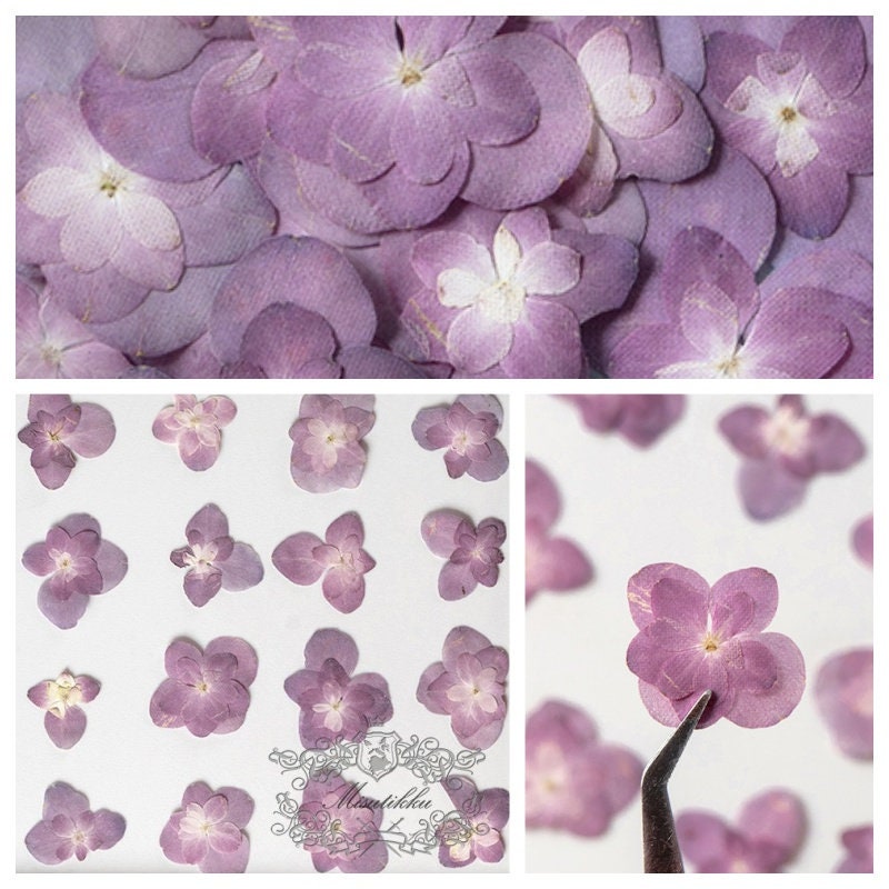 20 PCS Set (2.5-4CM) Pressed Purple Dried Flower, Natural Purple Hydrangea Flower, Preserved small Flowers, Real Purple Flat Dry Flowers