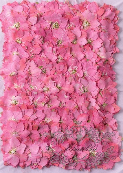 20 PCS/Set (3-3.5cm) Natural Pressed Dried Pink Larkspur Flower Presed Dried Flowers Pressed Flat Pink Dry Flower Preserved Dried Flowers