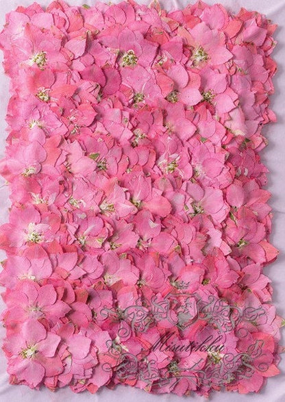 20 PCS/Set (3-3.5cm) Natural Pressed Dried Pink Larkspur Flower Presed Dried Flowers Pressed Flat Pink Dry Flower Preserved Dried Flowers