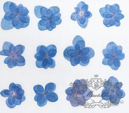 20 PCS Set (2.5-4CM) Dried Pressed Flowers Blue Hydrangea, Natural Pressed Dried Hydrangea Flowers, Preserved Real Pressed Blue Flowers