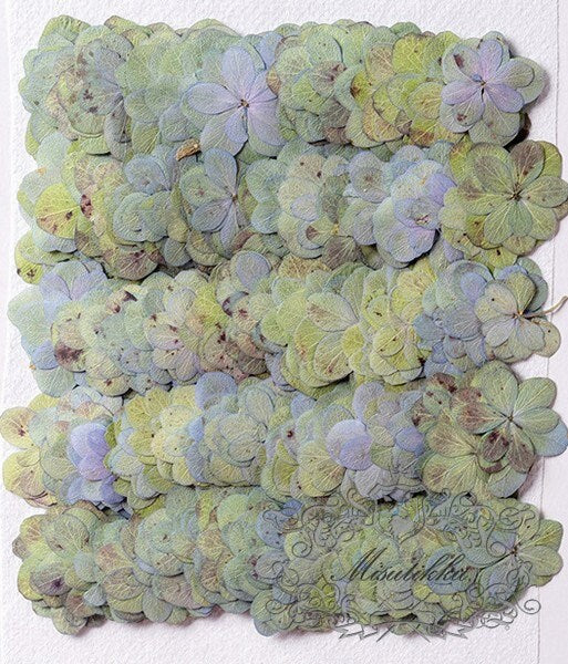 20 PCS Set (2-3CM) Pressed Hydrangea Dried Flowers, Natural Flat Dried Hydrangea Flower, Preserved Real Dried Flowers, Pressed Dry Flower