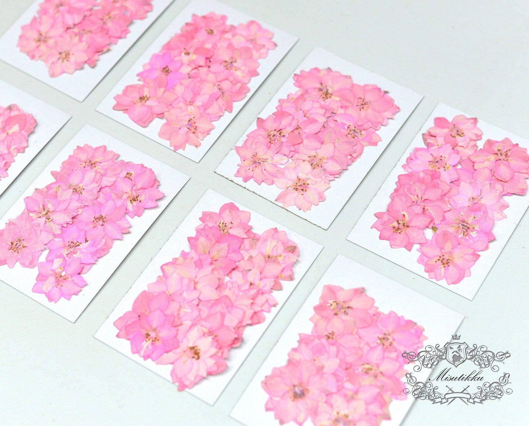 20 PCS/Set (3-3.5cm) Pressed Dried Flower Presed Pink Larkspur Dried Flowers Pressed Pink Flat Flower Preserved Dried Real Larkspur Flowers