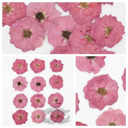 12 PCS/Set (3.5-5CM) Pressed Pink Roses, Real Dried Roses Flower, Pressed Rose Flower, Flat Dried Flowers, Pressed Flower Pink Real Roses