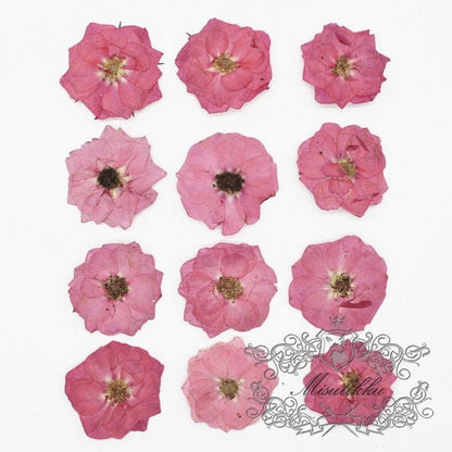 12 PCS/Set (3.5-5CM) Pressed Pink Roses, Real Dried Roses Flower, Pressed Rose Flower, Flat Dried Flowers, Pressed Flower Pink Real Roses