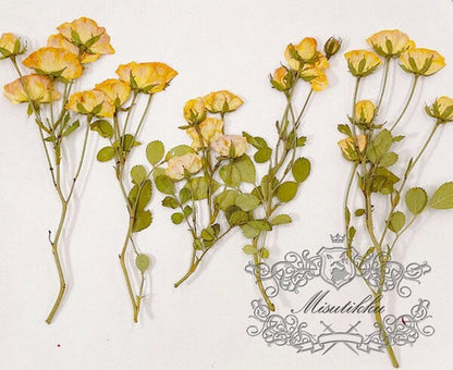 6 PCS/Set (5-7CM) Pressed Yellow Roses, Pressed Rose Dried Flowers, Pressed Dried Roses Flower, Flat Rose Flower, Real Preserved Dry Roses