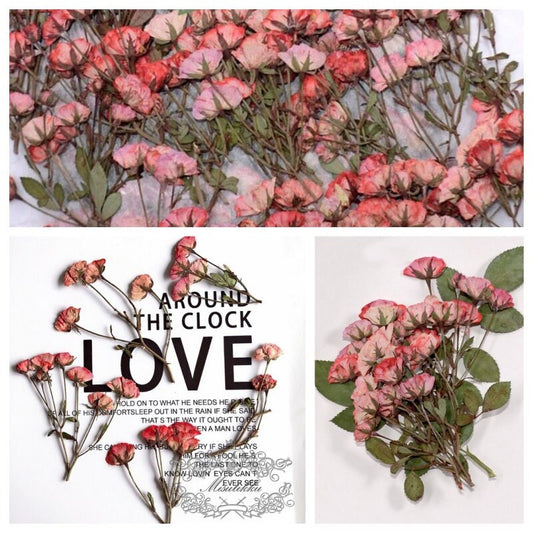 6 PCS/Set (5-7CM) Pressed Rose Stems, Pressed Real Dried Flowers, Red Rose Dried Flowers, Pressed Dried Rose, Dried Pressed Flower Stems