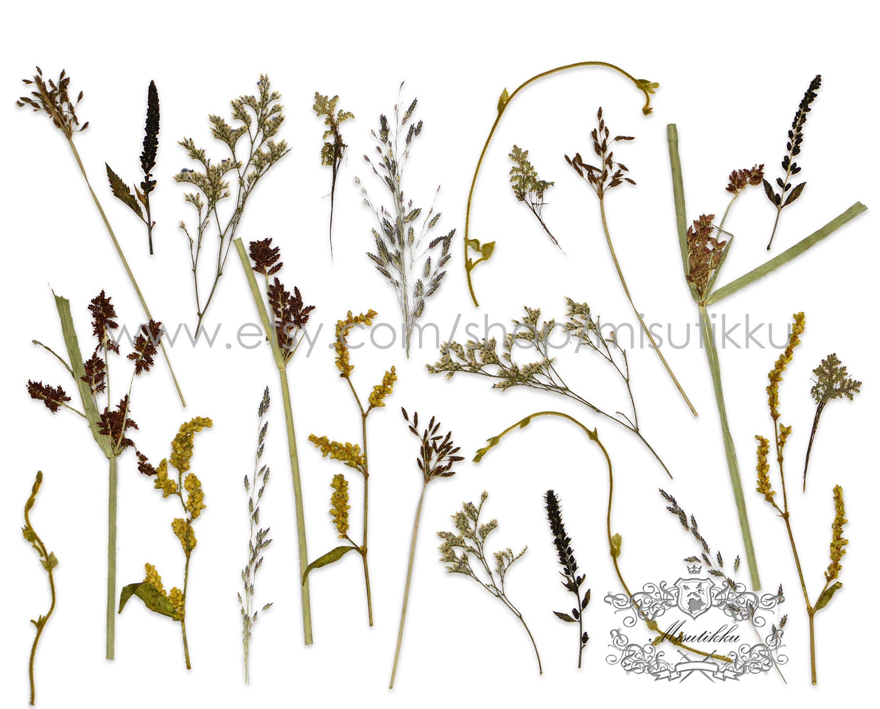 100 PCS Set Mixed Pressed White Flower Stems, Assorted Pressed Dried White Flowers, Preserved Ivory White Flat Flowers, Pressed Dried Flower