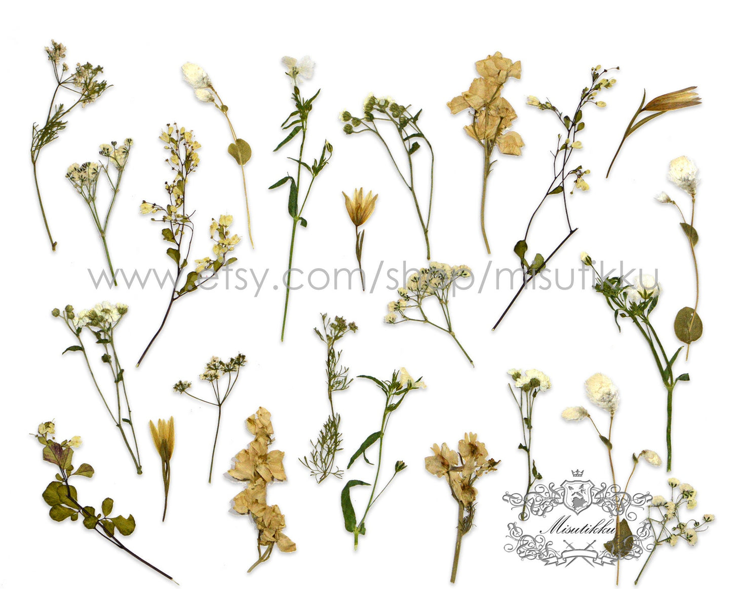 100 PCS Set Mixed Pressed White Flower Stems, Assorted Pressed Dried White Flowers, Preserved Ivory White Flat Flowers, Pressed Dried Flower