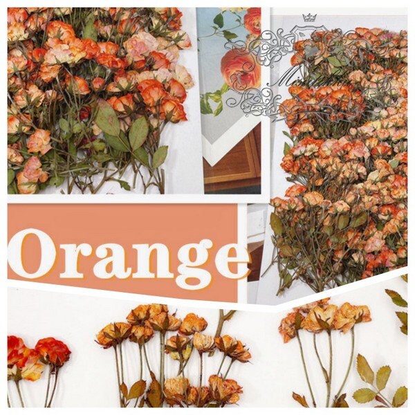 6 PCS/Set (5-7CM) Pressed Flower Orange Roses, Pressed Dried Flowers, Pressed Roses Flower, Real Rose Dried Flower, Preservation Flat Roses