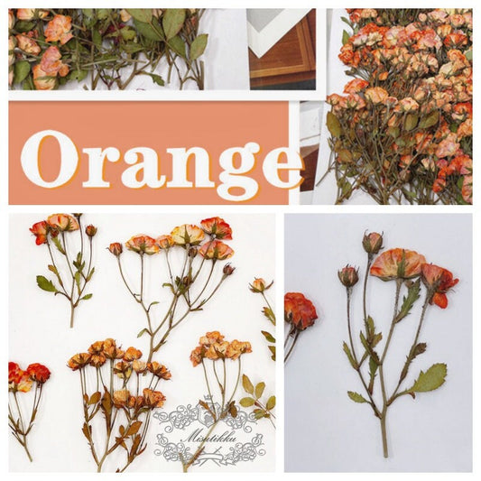 6 PCS/Set (5-7CM) Pressed Flower Orange Roses, Pressed Dried Flowers, Pressed Roses Flower, Real Rose Dried Flower, Preservation Flat Roses