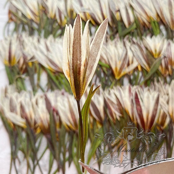 20 PCS Set (6-9CM) Pressed Flower Stems, Pressed Dried Flower with stems, Preserved Real Pressed Flower Stems, Flat Dry Brown flower Stems