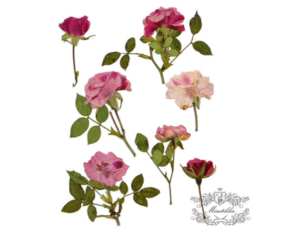 6 PCS Set (6-10CM) Dried Pressed Flowers, Pink Rose Stems, Real Pressed Flowers Rose Buds, Preserved Flowers Stems, Rea Dried Rose Stems