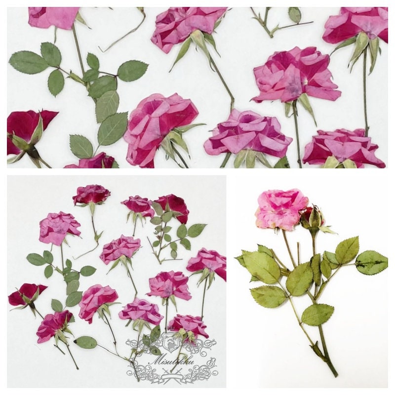 6 PCS Set (6-10CM) Dried Pressed Flowers, Pink Rose Stems, Real Pressed Flowers Rose Buds, Preserved Flowers Stems, Rea Dried Rose Stems