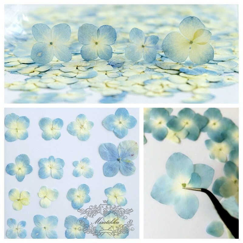 20 PCS Set (2.5-3.5CM) Pressed Dried Hydrangea Flower, Blue Pressed Hydrangea Flower, Preserved Real Dried Flowers, Pressed Blue Flat Flower