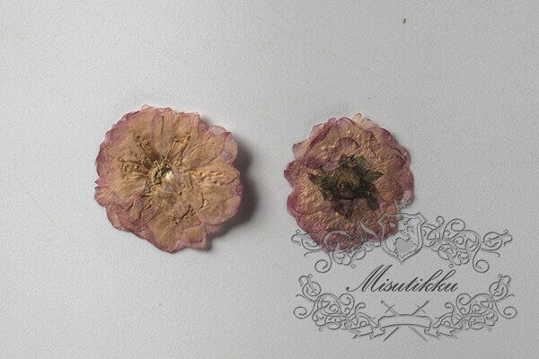 20 PCS Set (1.5-2.5CM) Pressed Dried Flower, Flat Dried Brown Pressed Flowers. Real Pressed Flat Flowers, Natural Pressed Dried Real Flower