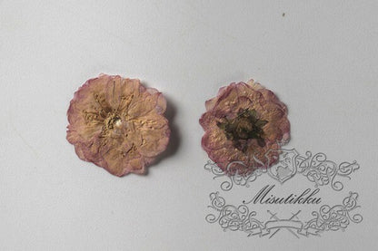 20 PCS Set (1.5-2.5CM) Pressed Dried Flower, Flat Dried Brown Pressed Flowers. Real Pressed Flat Flowers, Natural Pressed Dried Real Flower