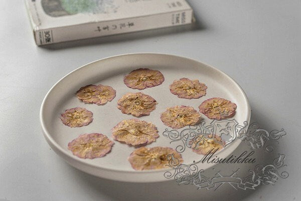 20 PCS Set (1.5-2.5CM) Pressed Dried Flower, Flat Dried Brown Pressed Flowers. Real Pressed Flat Flowers, Natural Pressed Dried Real Flower