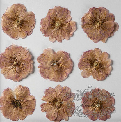 20 PCS Set (1.5-2.5CM) Pressed Dried Flower, Flat Dried Brown Pressed Flowers. Real Pressed Flat Flowers, Natural Pressed Dried Real Flower