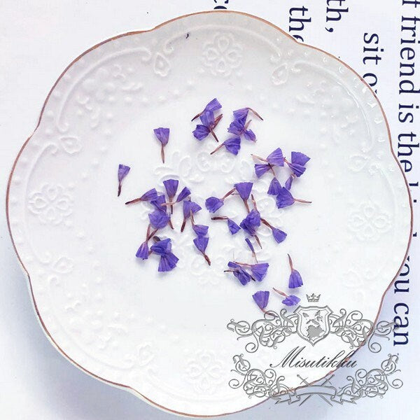 50 PCS Set (0.8-1.5CM) Pressed Flower Dried Forget Me nots Petals, Pressed Forget Me nots Flowers, Real Tiny Pressed Flower Forget Me Nots