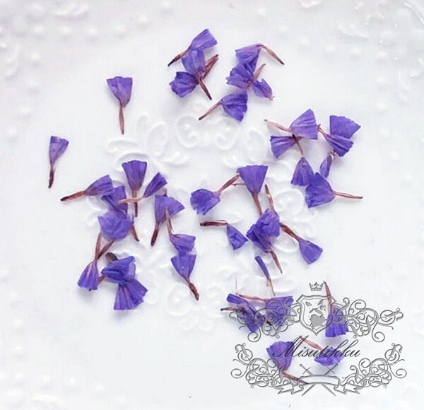 50 PCS Set (0.8-1.5CM) Pressed Flower Dried Forget Me nots Petals, Pressed Forget Me nots Flowers, Real Tiny Pressed Flower Forget Me Nots