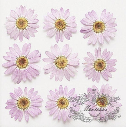 20 PCS Set (4-6CM) Pressed Pink Flowers, Real Pink Flower, Preserved Pink Flowers, Dried Pressed Flower, Pink Flat Flower, Pink Dried Flower