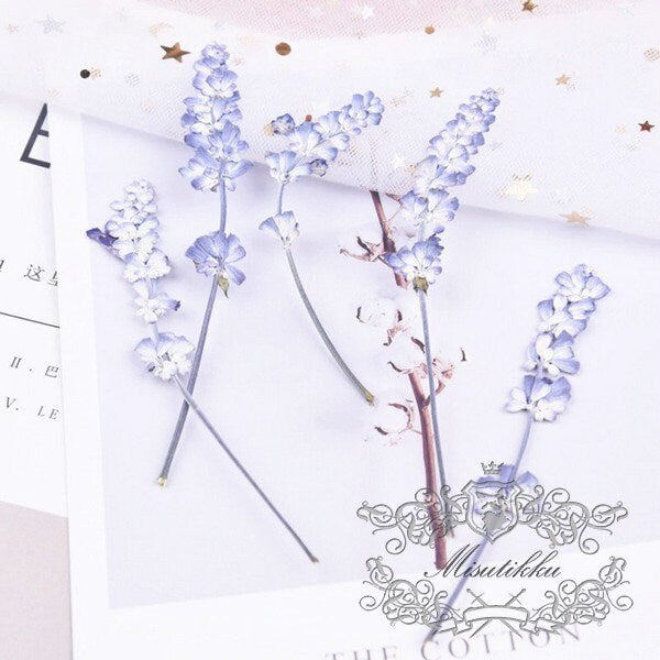 20 PCS Set (6-9CM) Dried Pressed Flower Blue Salvia, Dried Salvia Flowers, Real Pressed Salvia Flower, Flat Preserved Salvia flower Stems