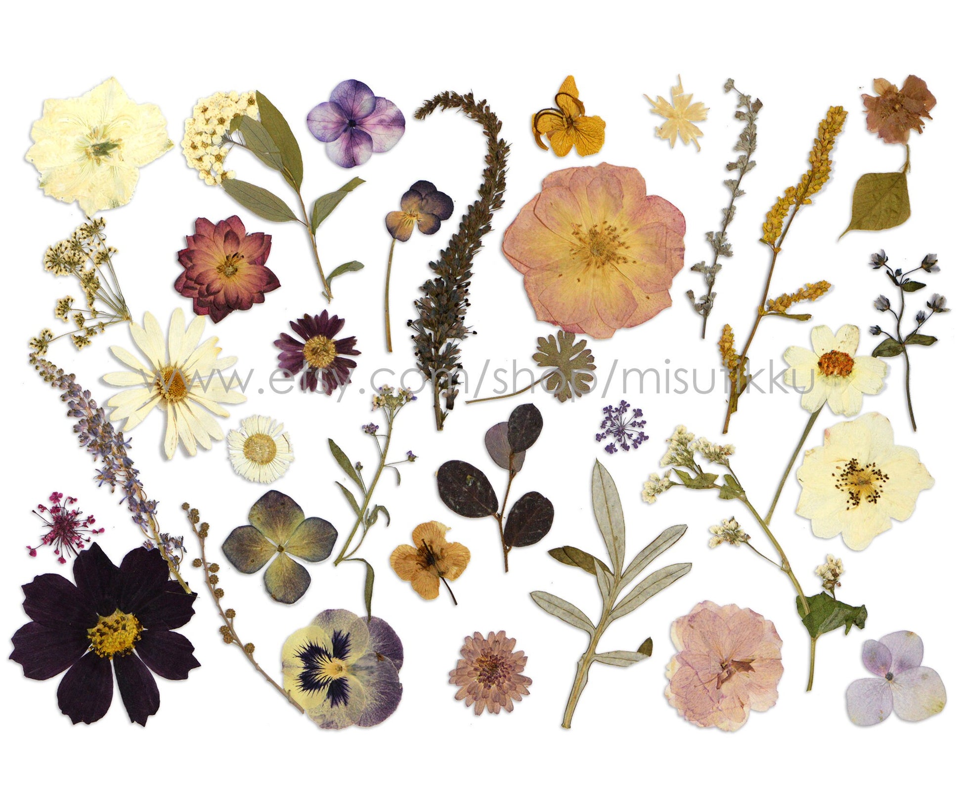 100 PCS Set Pressed Dried Flowers Mixed, Dried Pressed Flower, Pressed Real Flowers, Pressed Flat Flowers, Real Preserved Flower assortment