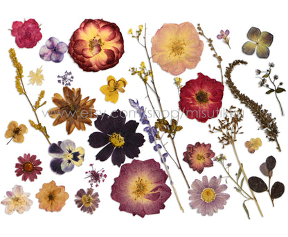 100 PCS Set Pressed Dried Flowers Mixed, Dried Pressed Flower, Pressed Real Flowers, Pressed Flat Flowers, Real Preserved Flower assortment