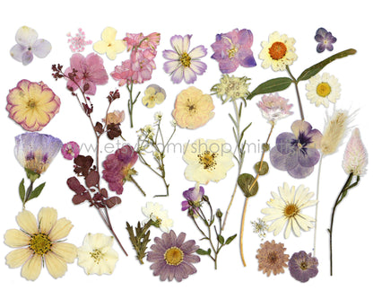 100 PCS Set Pressed Dried Flowers Mixed, Dried Pressed Flower, Pressed Real Flowers, Pressed Flat Flowers, Real Preserved Flower assortment