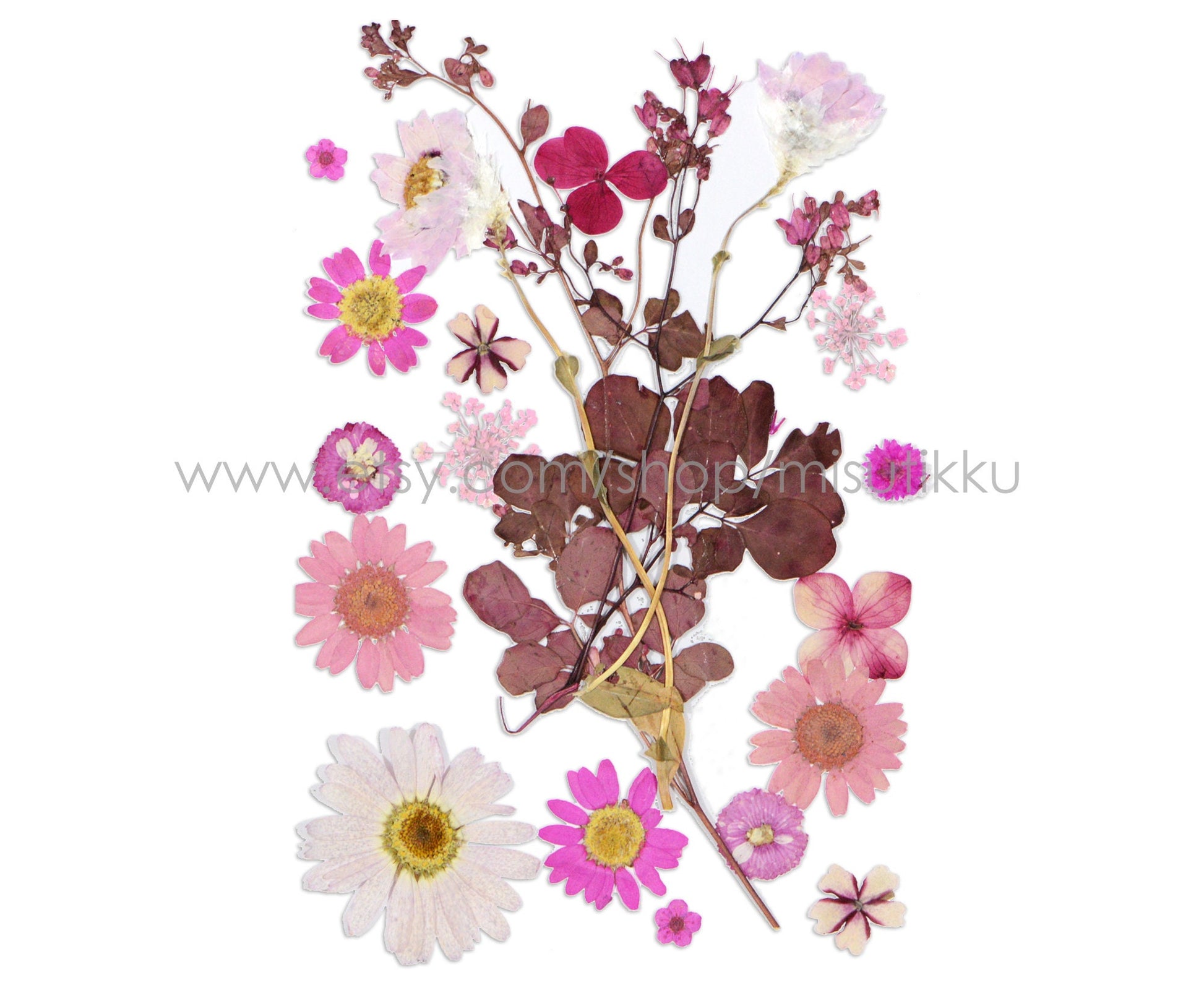 20 PC SAMPLE PACK Pressed Dried Flowers Mixed, Pressed Pink Dried Flowers Assorted, Preserved Dried Flowers, Real Pressed Flat Flowers