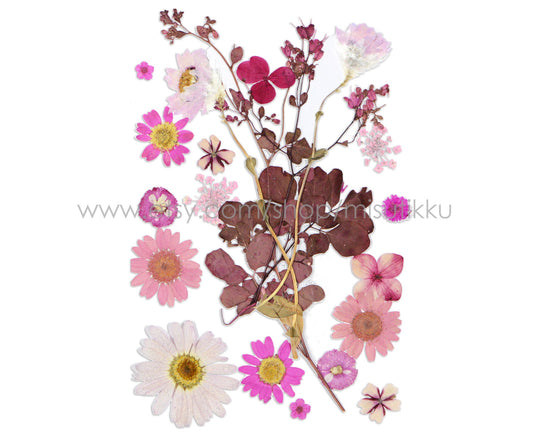 20 PC SAMPLE PACK Pressed Dried Flowers Mixed, Pressed Pink Dried Flowers Assorted, Preserved Dried Flowers, Real Pressed Flat Flowers