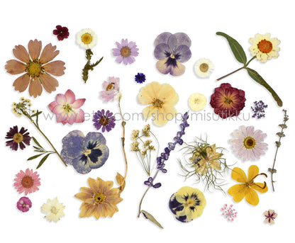 100 PCS Set Pressed Dried Flowers Mixed, Dried Pressed Flower, Pressed Real Flowers, Pressed Flat Flowers, Real Preserved Flower assortment