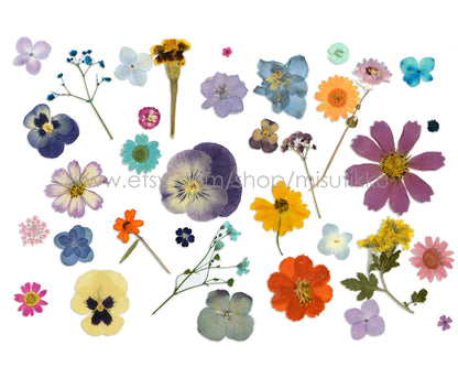 100 PCS Set Pressed Dried Flowers Mixed, Dried Pressed Flower, Pressed Real Flowers, Pressed Flat Flowers, Real Preserved Flower assortment