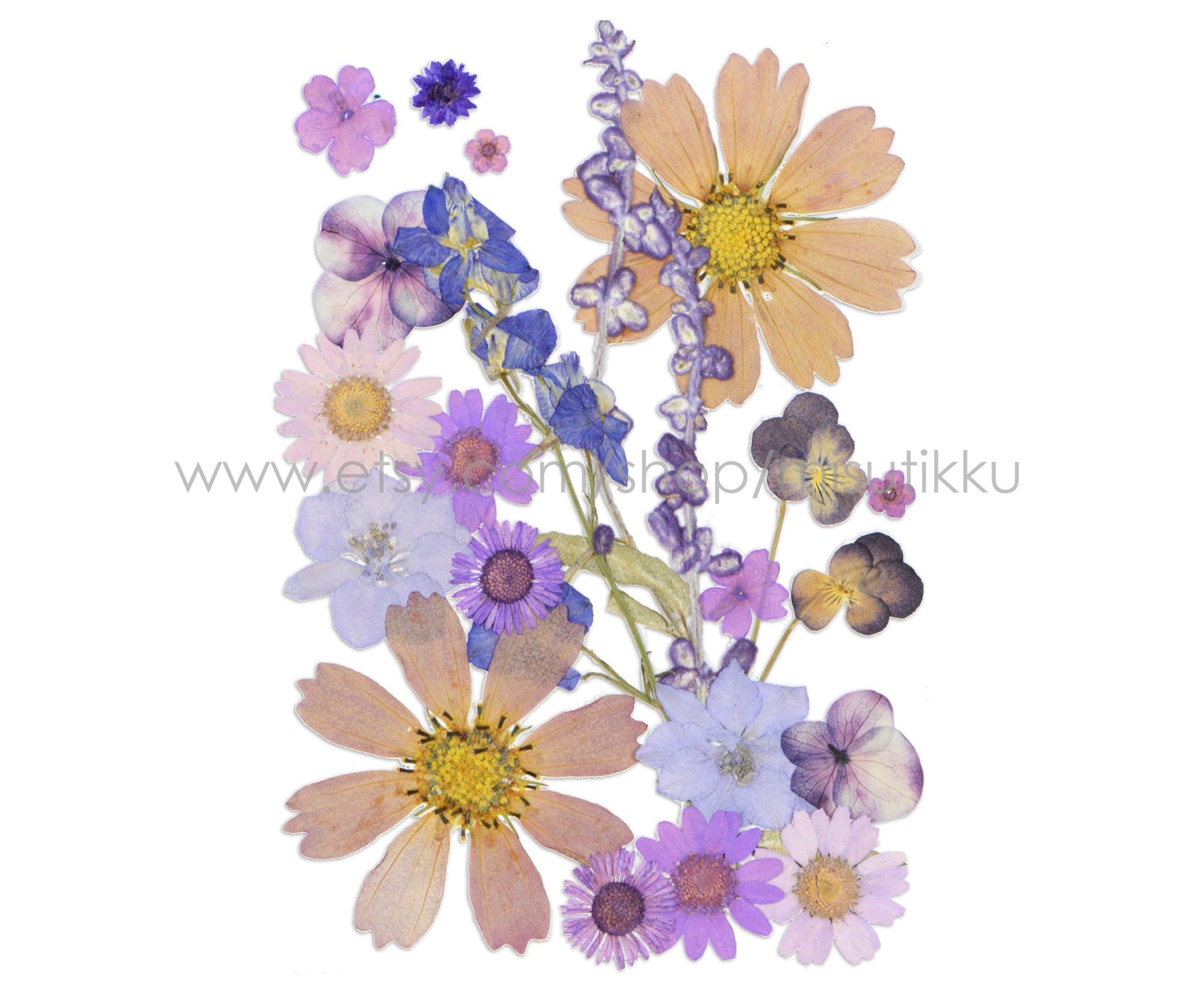 20 PC SAMPLE PACK Dried Pressed Flowers Assorted Pack, Mixed Pressed Purple Dried Flowers, Preserved Real Flowers, Pressed Flat Flowers Bulk