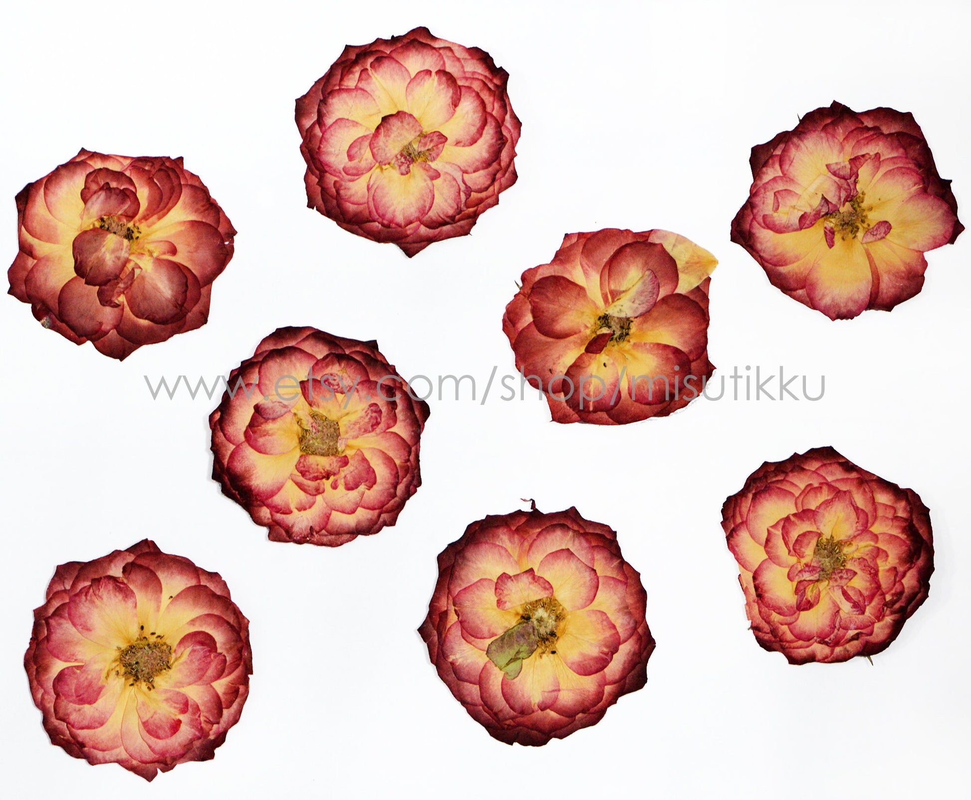 6 PCS/Set (5-8CM) Pressed Flowers Roses, Pressed Dried Large Rose Flower, Real Pressed Red Rose, Dried Real Rose, Preserved Rose Flat Flower