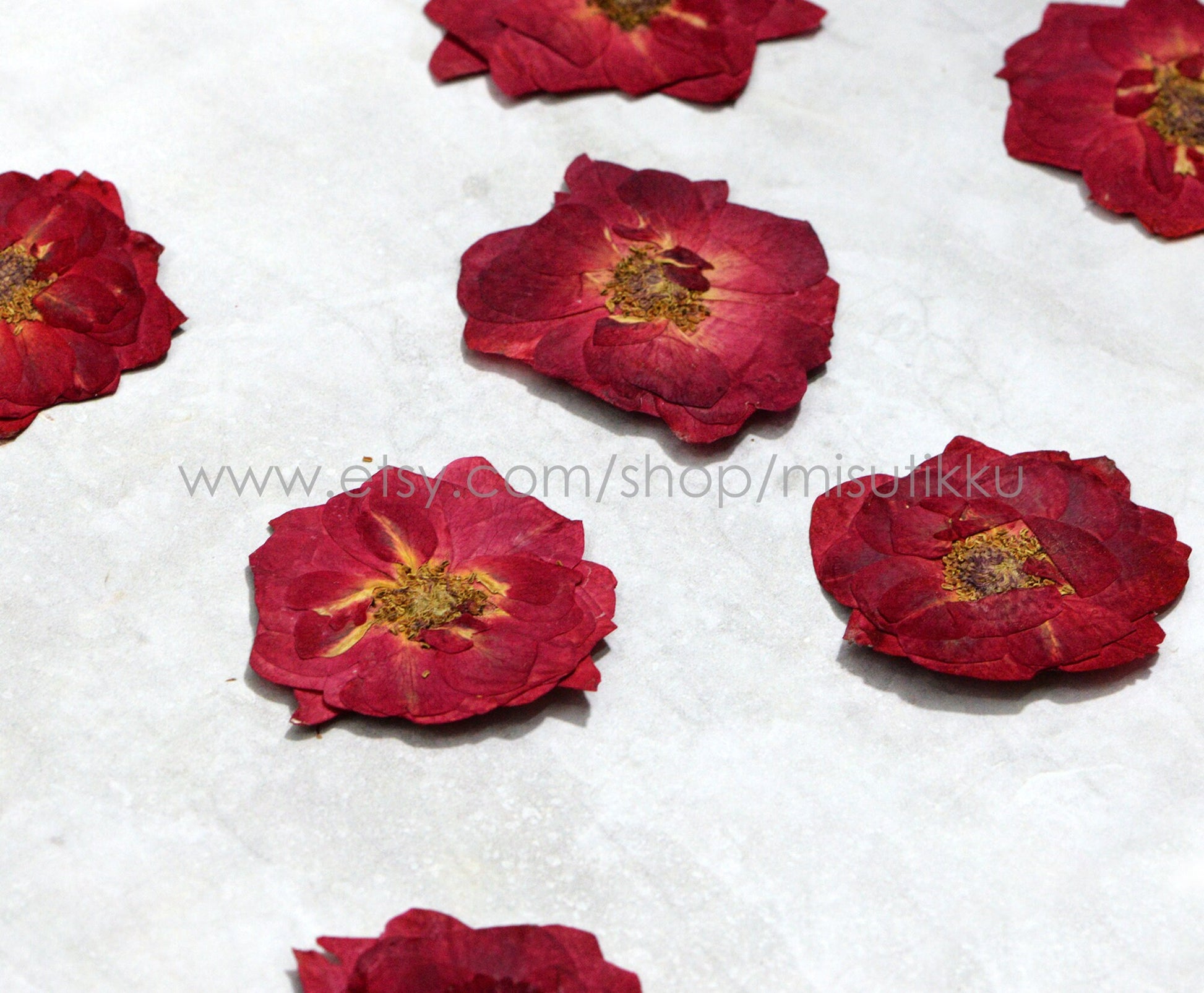 12 PCS/Set (3-6CM) Pressed Large Roses Flowers, Pressed Dried Red Roses, Real Dried Red Roses, Pressed Real Rose, Preserved Flat Rose Flower