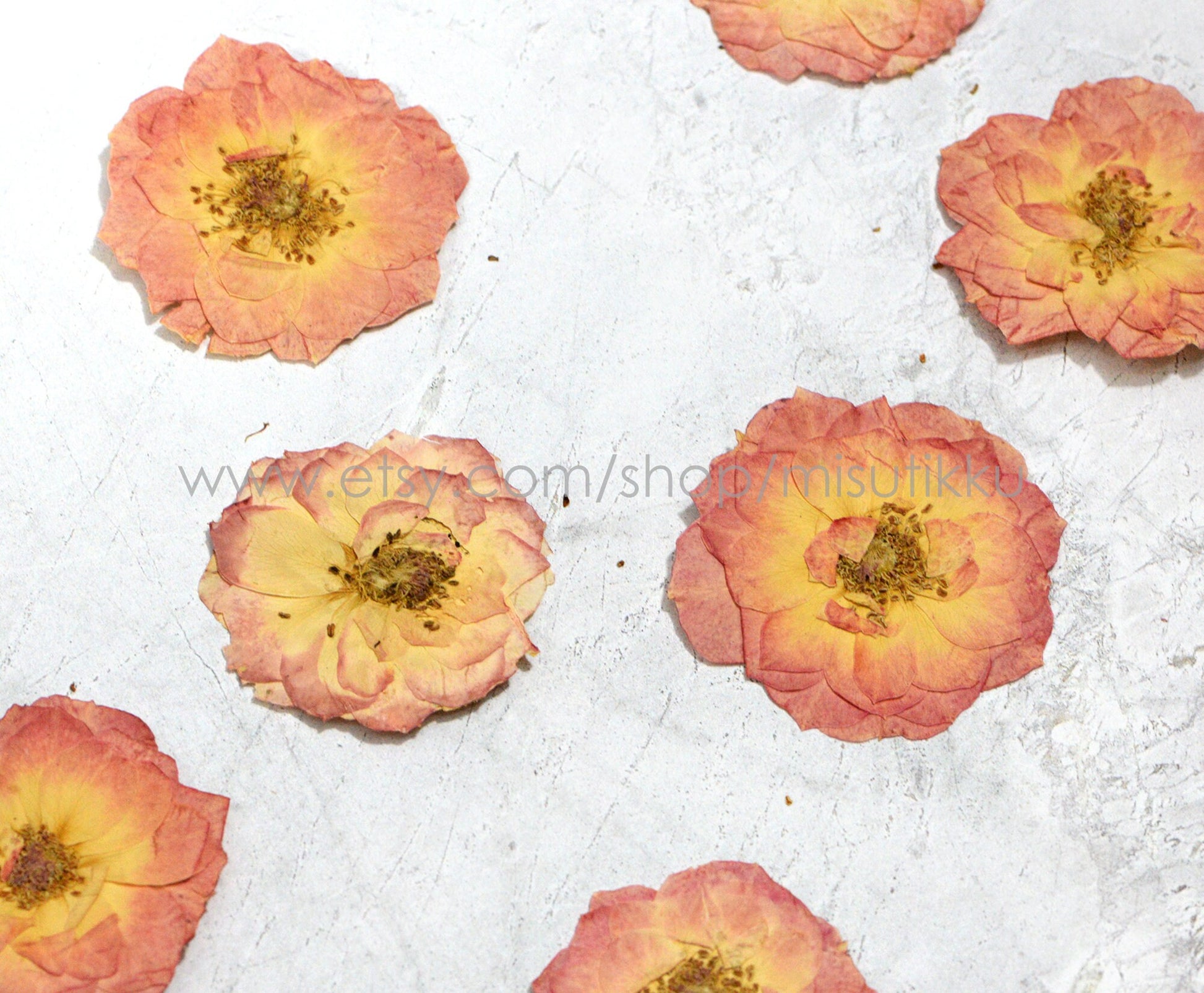 6 PCS/Set (5-7CM) Dried Pressed Roses Flowers, Pressed Pink Roses, Real Pink Dried Roses, Pressed Flat Rose, Preserved Rose Dried Flower