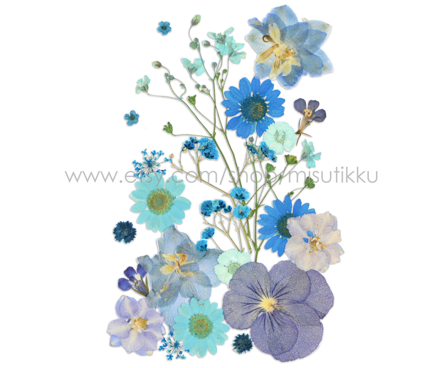 20 PC SAMPLE PACK Pressed Dried Flowers Mixed, Pressed Blue Dried Flowers Assorted, Preserved Dried Flowers, Real Pressed Flat Flowers