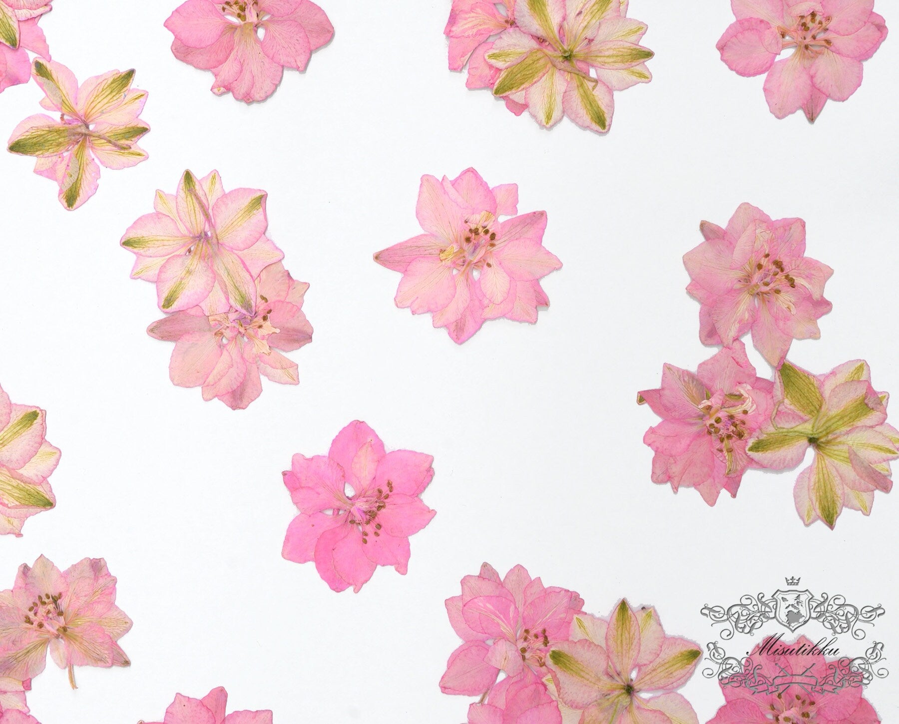 12 PCS Set (3-4CM) Pressed Dried Flowers, Dried Pink Flower, Pressed Pink Flower, Real Flat Pink Pressed Flowers, Preserved Real Flowers