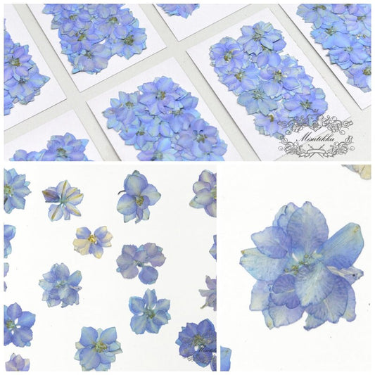 20 PCS Set (2.5-3.5CM) Pressed Dried Flowers, Blue Dried Flowers, Blue Pressed Flowers, Pressed Blue real flowers, Preserved Flat Flower