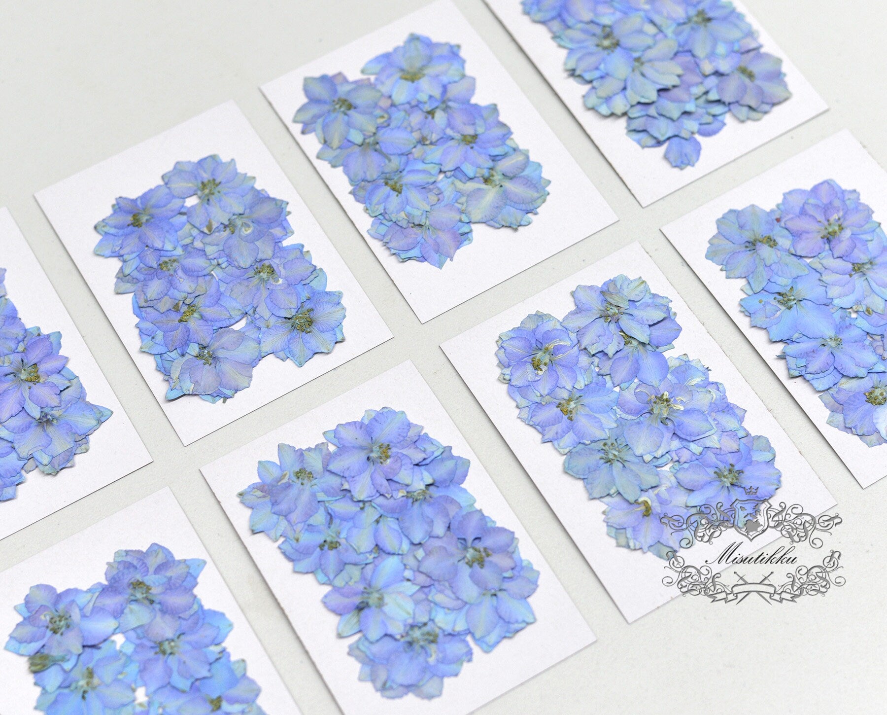 20 PCS Set (2.5-3.5CM) Pressed Dried Flowers, Blue Dried Flowers, Blue Pressed Flowers, Pressed Blue real flowers, Preserved Flat Flower