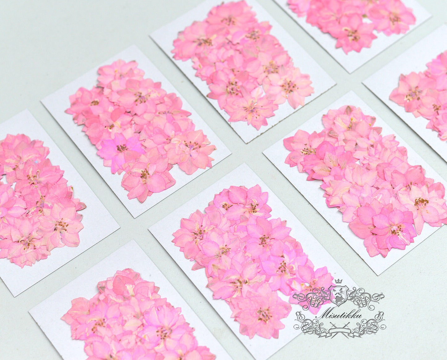 12 PCS Set (3-4CM) Pressed Dried Flowers, Dried Pink Flower, Pressed Pink Flower, Real Flat Pink Pressed Flowers, Preserved Real Flowers