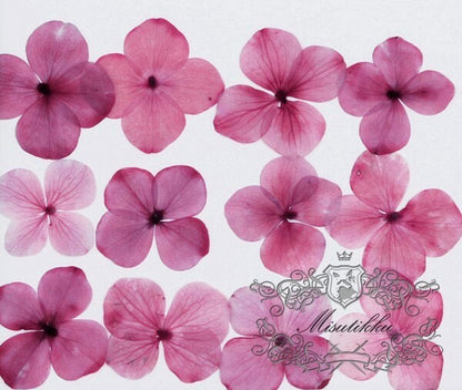 12 PCS/Set (2-3CM) Pressed Hydrangea Pink Flower, Pink Hydrangea Dried Flowers, Real Dried Pressed Flowers, Pressed flat Pink Flowers