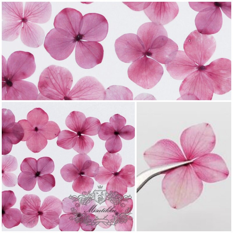 12 PCS/Set (2-3CM) Pressed Hydrangea Pink Flower, Pink Hydrangea Dried Flowers, Real Dried Pressed Flowers, Pressed flat Pink Flowers