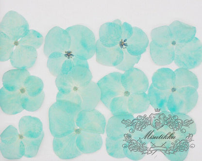 20 PCS/Set (2-3CM) Pressed Flowers Hydrangea, Dried Blue Hydrangea Flower, Pressed Real Blue Hydrangea Flower, Flat Preserved Dried Flowers