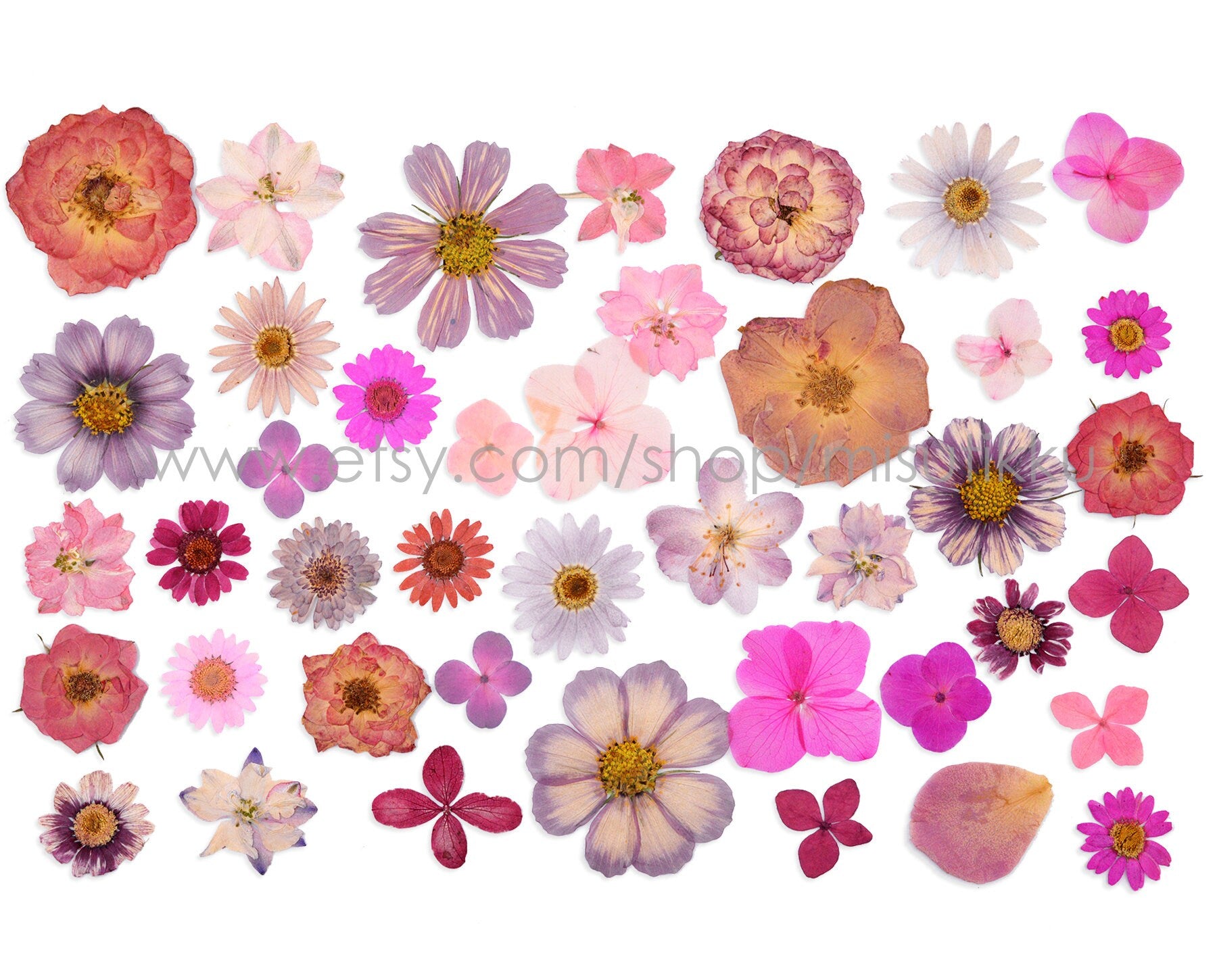 20 PCS Set Pressed Dried Flower, Bulk Pressed Pink Flower, Dried Pressed Flat Flower, Pink Pressed Flower Stems, Pressed Real Dried Flowers